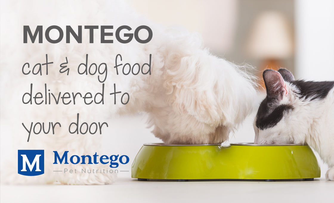 Montego cat & dog food delivered to your door | Pet food delivery