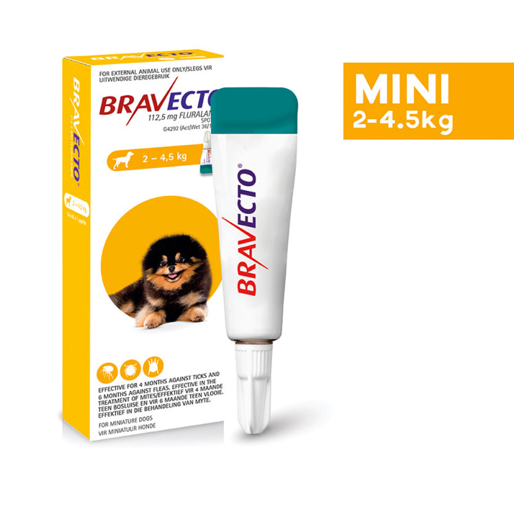 Bravecto for ticks and fleas online