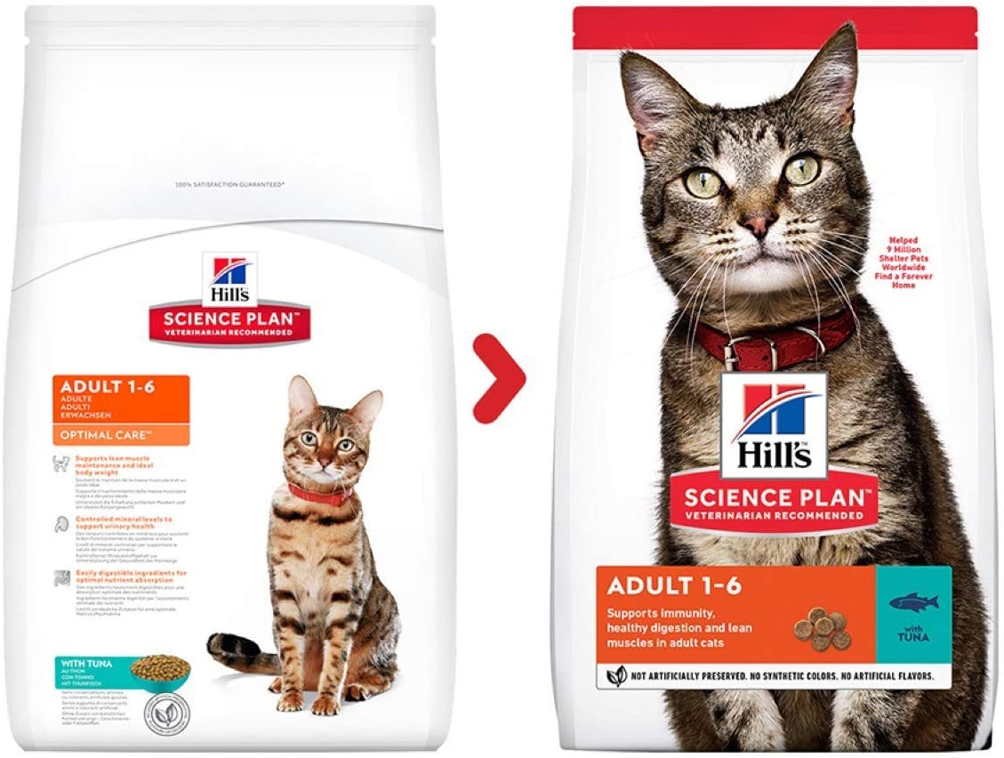 Hills science plan optimal care cat food best sale