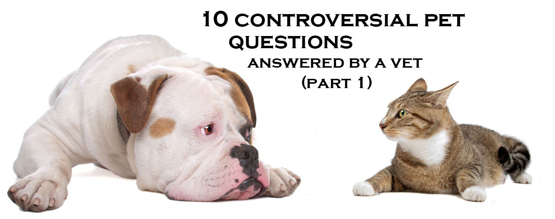 10 Most controversial pet questions,answered by a vet (Part 1)