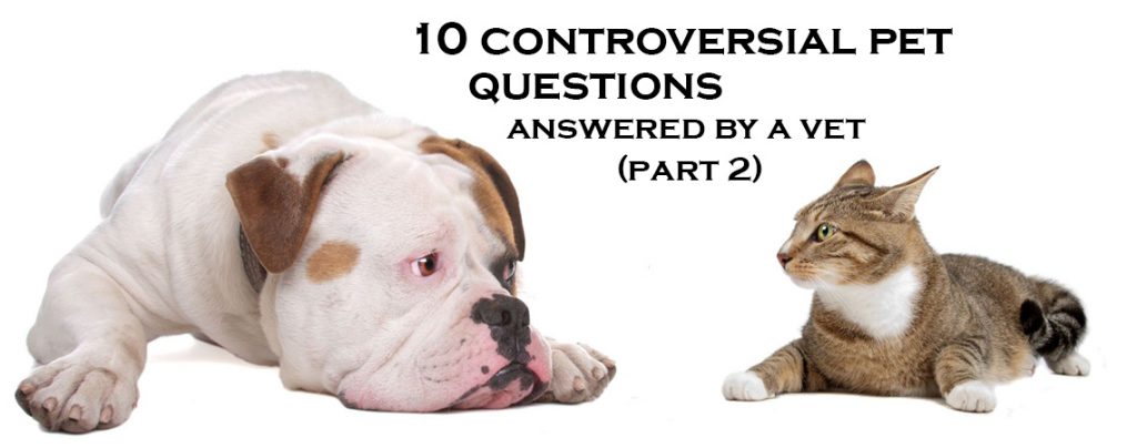 10 Most controversial pet questions,answered by a vet (Part 2)