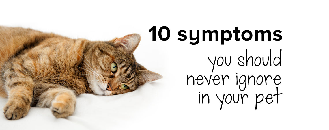 10 symptoms you should never ignore in your pet