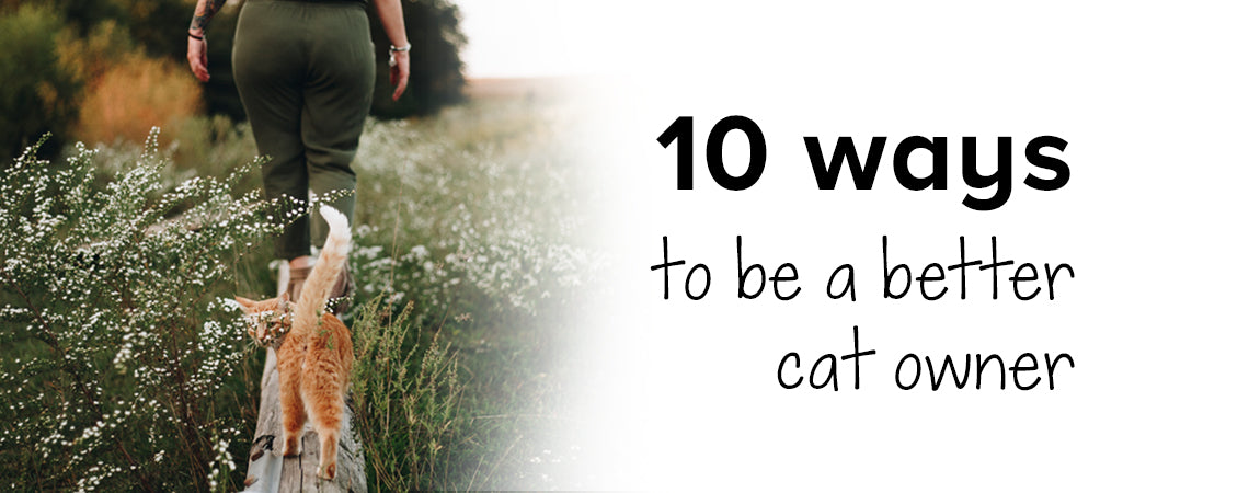 10 ways to be a better cat owner