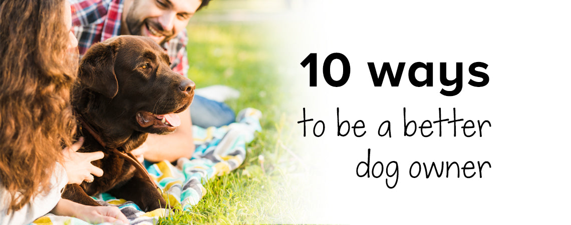 10 ways to be a better dog owner