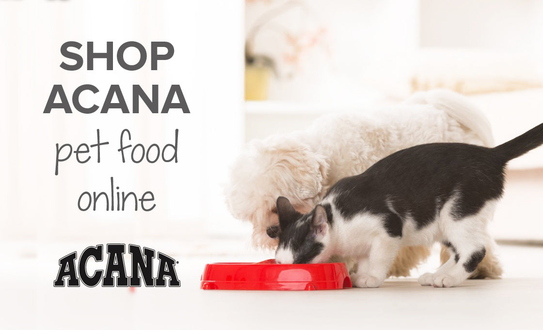 Shop Acana pet food online | Buy cat & dog food South Africa