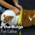 Battle the Bulge - The Pet Edition