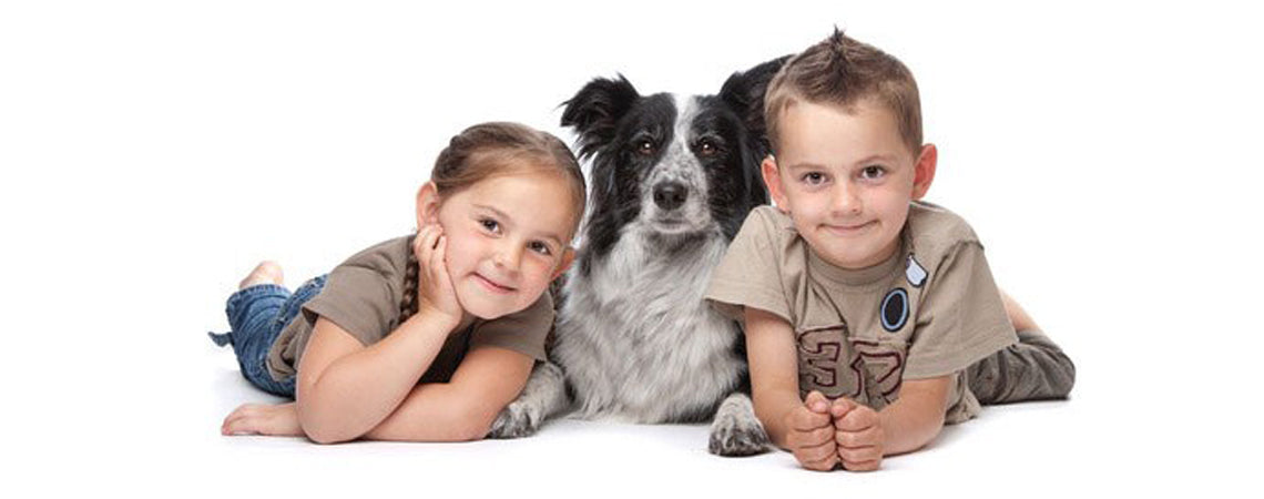 Children's safety around dogs: How to help prevent dog bites