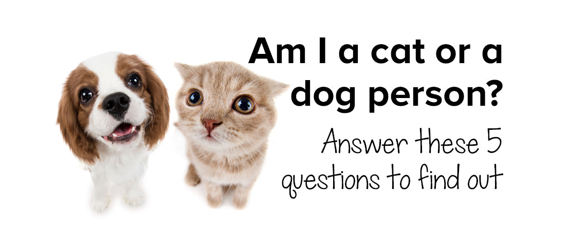Am I a cat or a dog person? Answer these 5 questions to find out