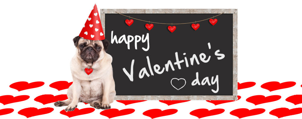 How to spoil your dog on valentine's day | Healthy homemade dog treats