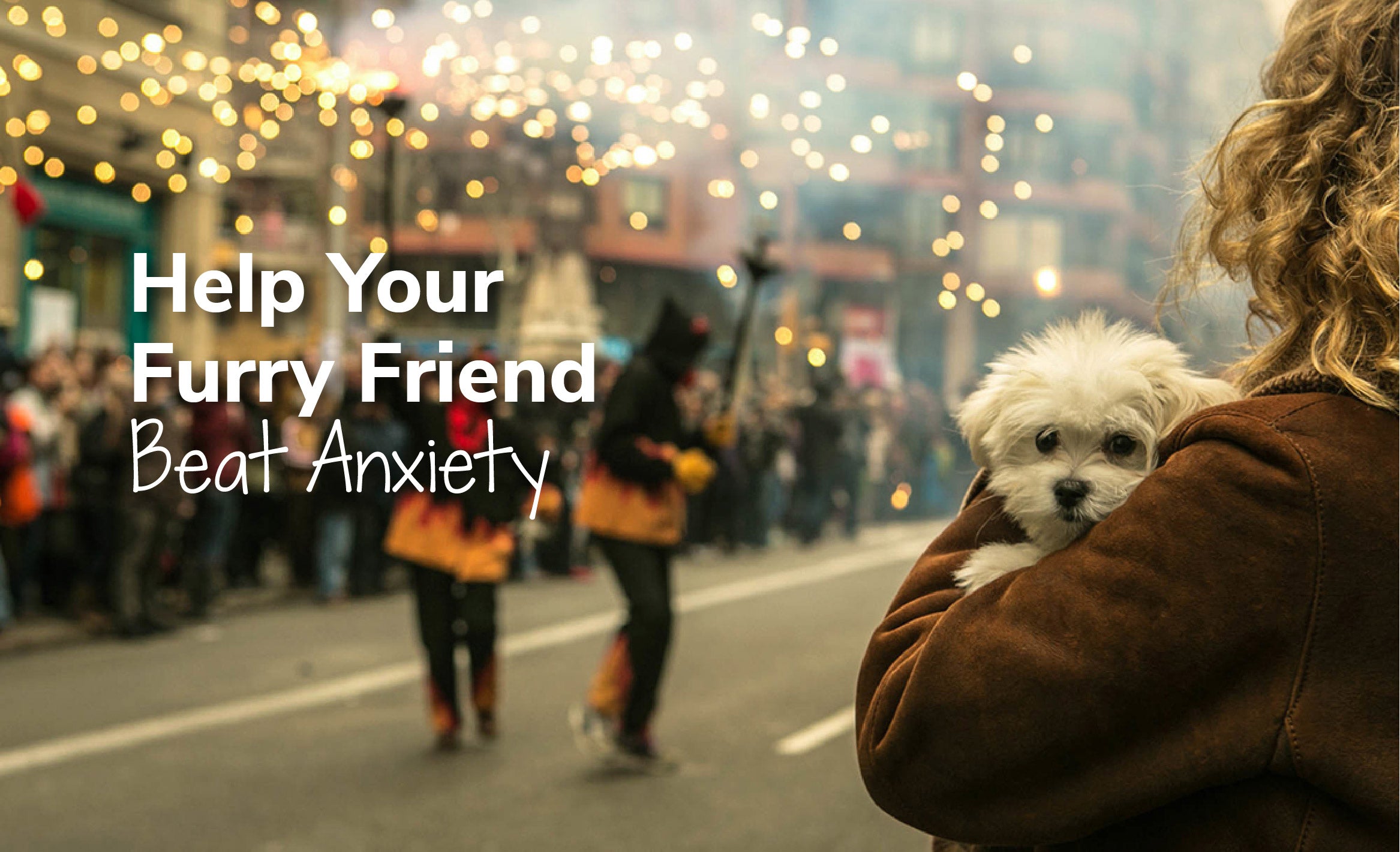 Help Your Furry Friend Beat Anxiety - Benefits Of CBD For Anxiety