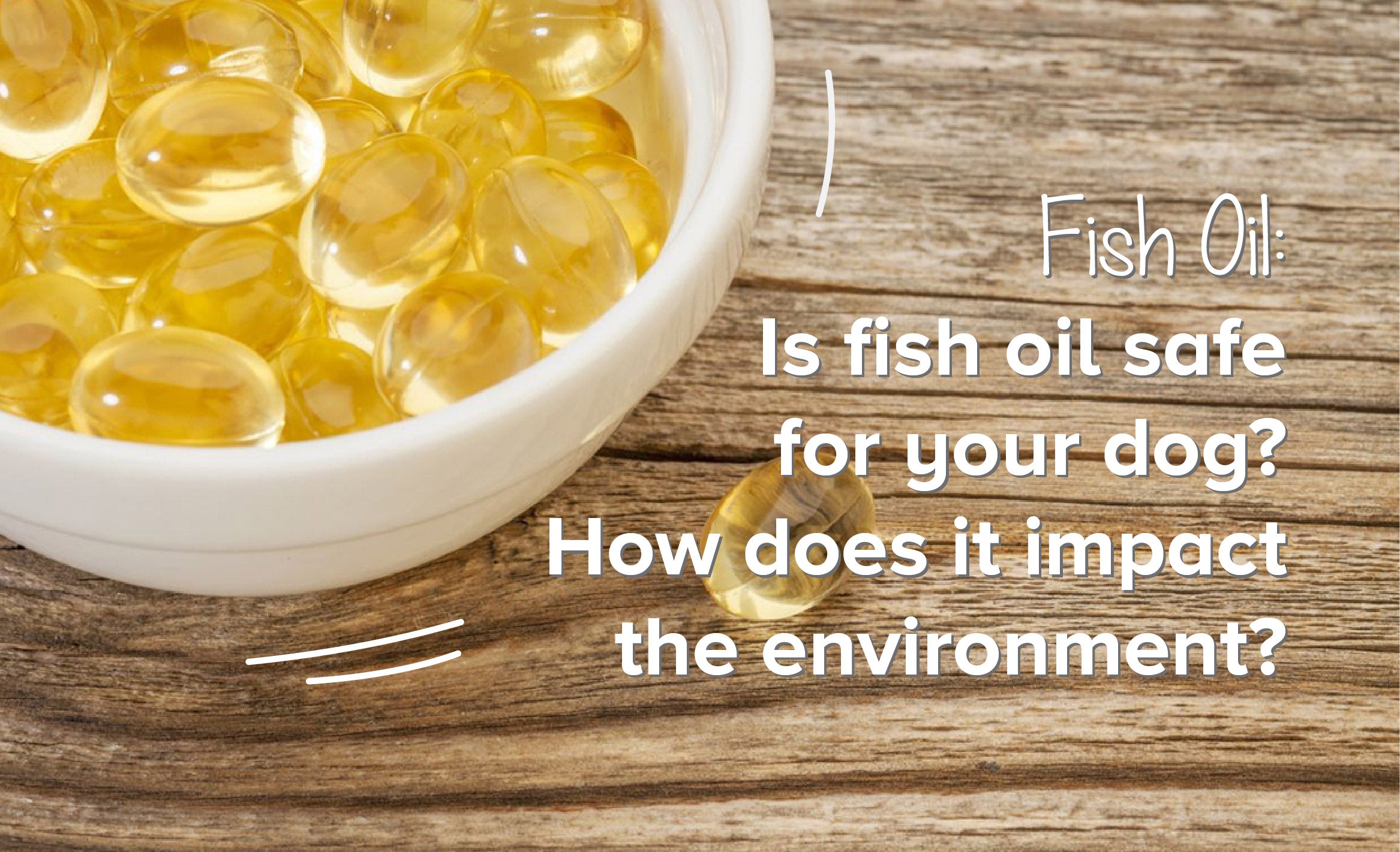 Is Fish Oil Safe For Your Dog? How Does It Impact The Environment?