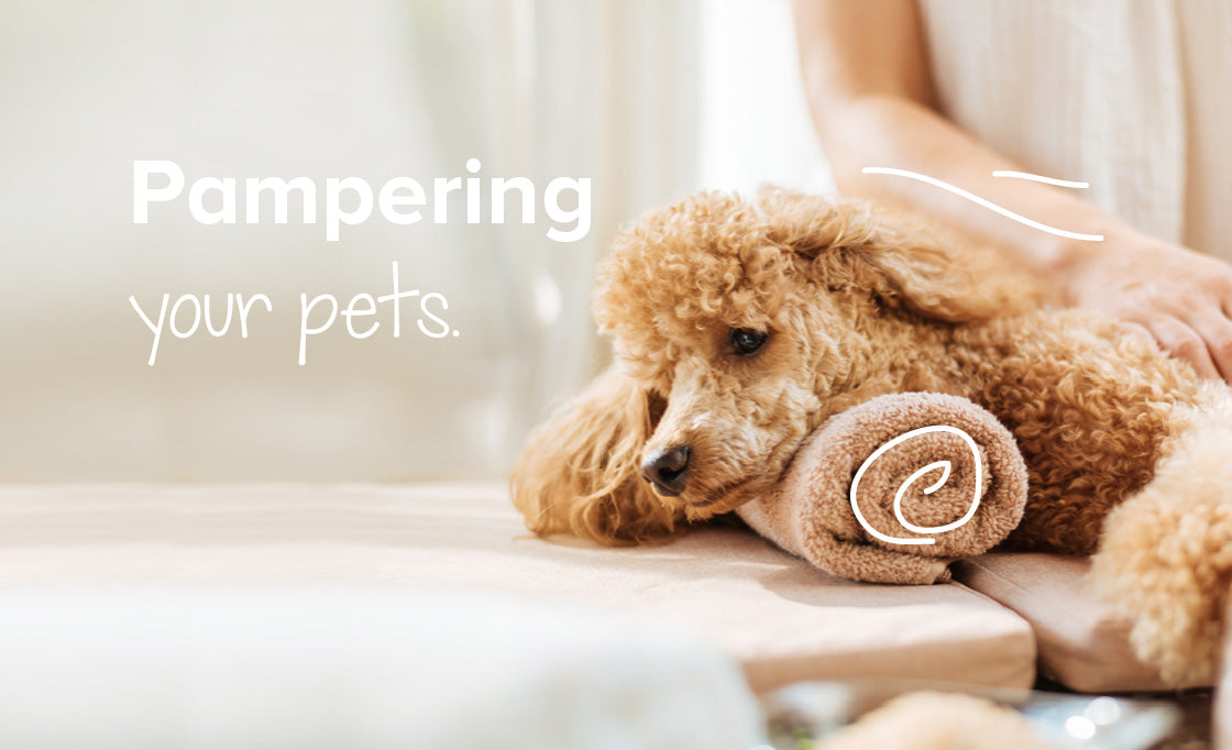 Pampering Your Pets