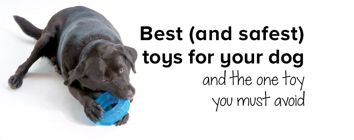 Best (and safest) toys for your dog - and the one toy you must avoid