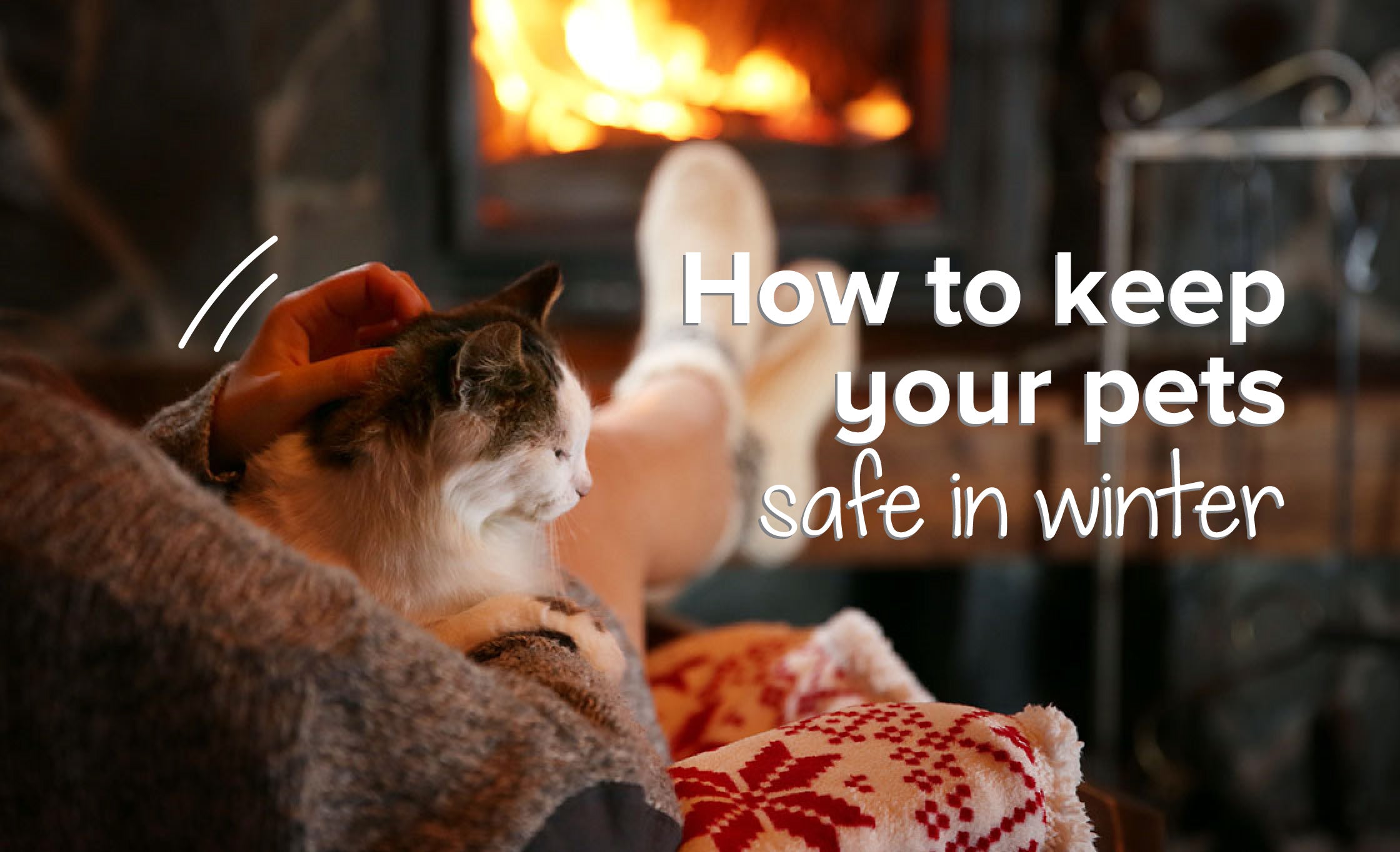 How To Keep Your Pets Safe In Winter