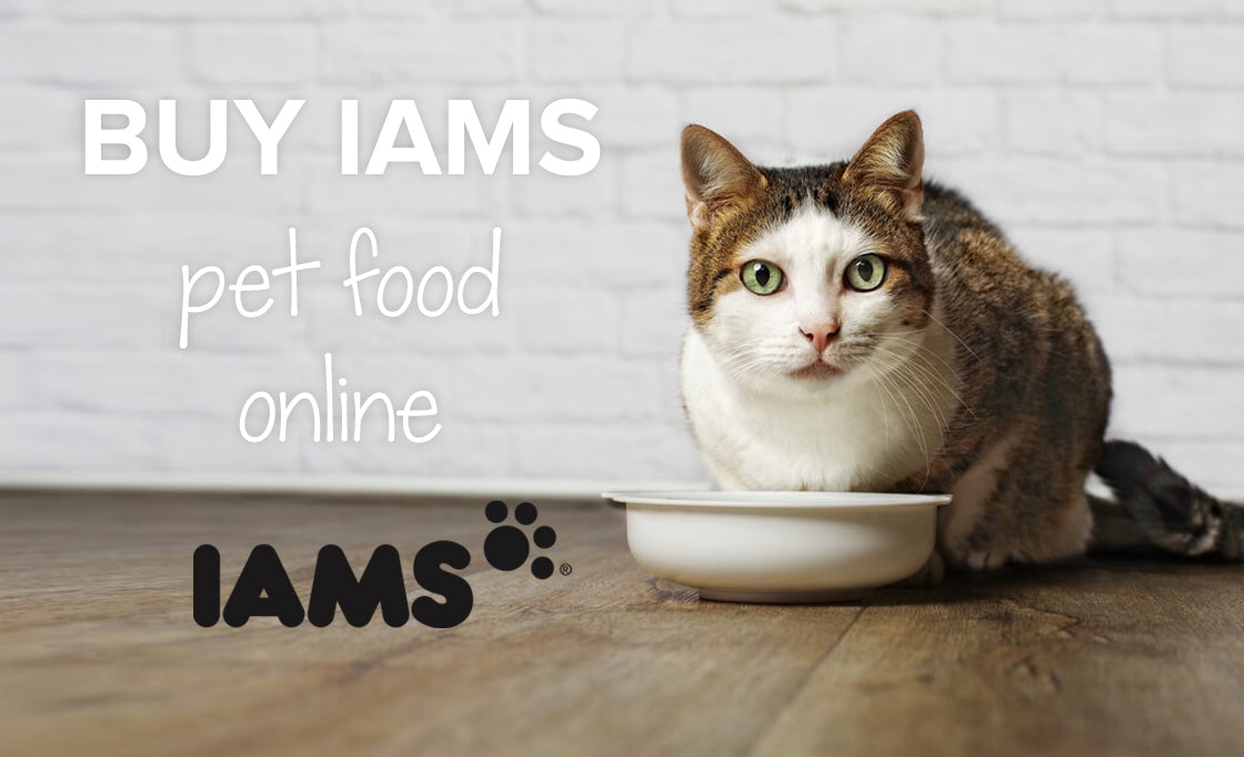 Buy IAMS pet food online in South Africa | Order pet food online