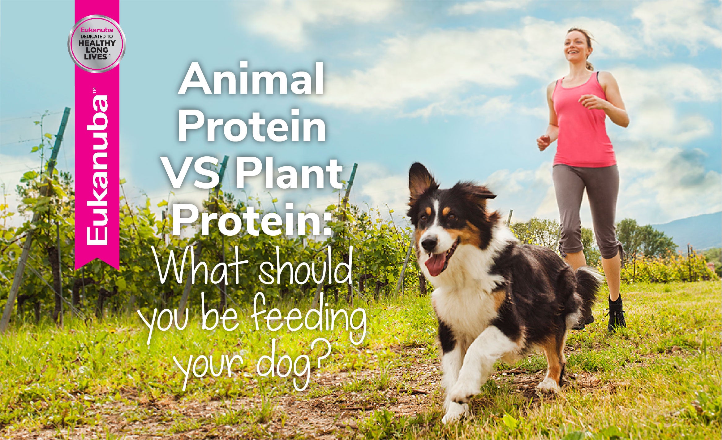 Animal Protein Vs Plant Protein: What Should You Be Feeding Your Dog?