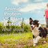 Animal Protein Vs Plant Protein: What Should You Be Feeding Your Dog?