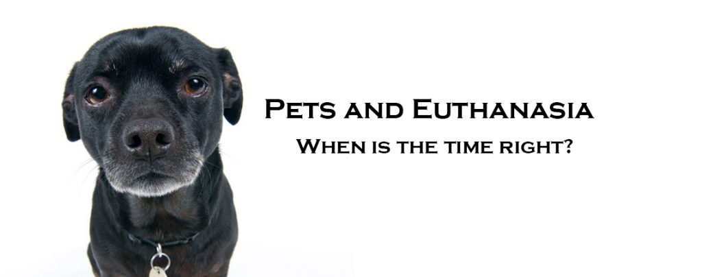 Pets and Euthanasia: When  is the time right, and what does it entail