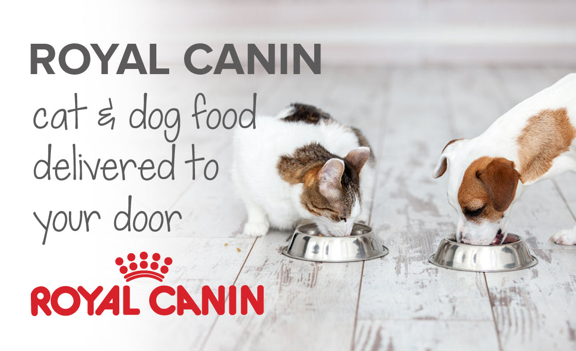 Royal Canin cat & dog food delivered in SA | Pet food delivery