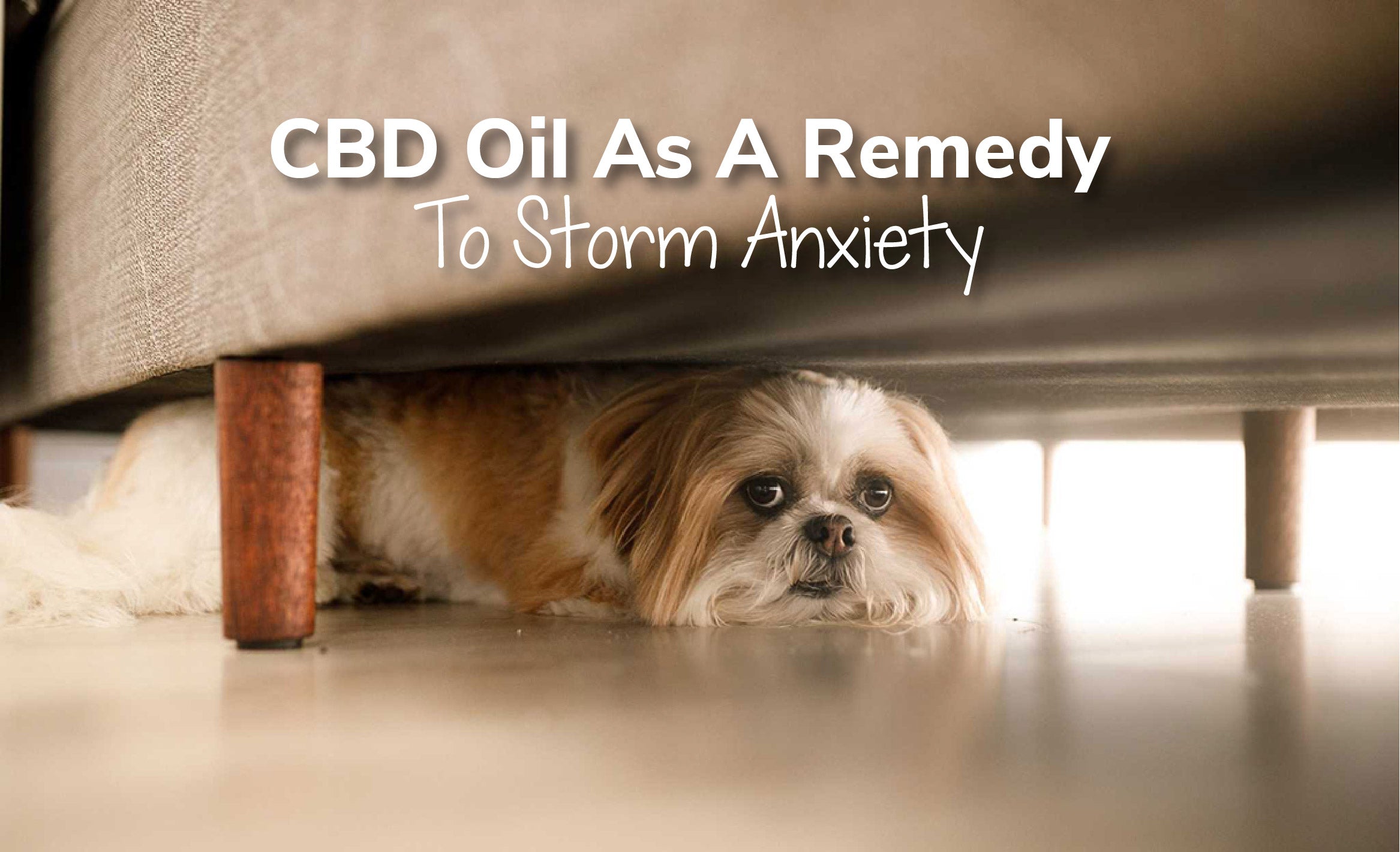 The Benefits Of Using CBD Oil As A Remedy To Storm Anxiety