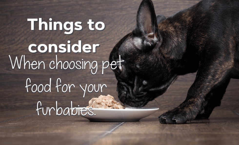 Things to consider when choosing pet food for your furbabies