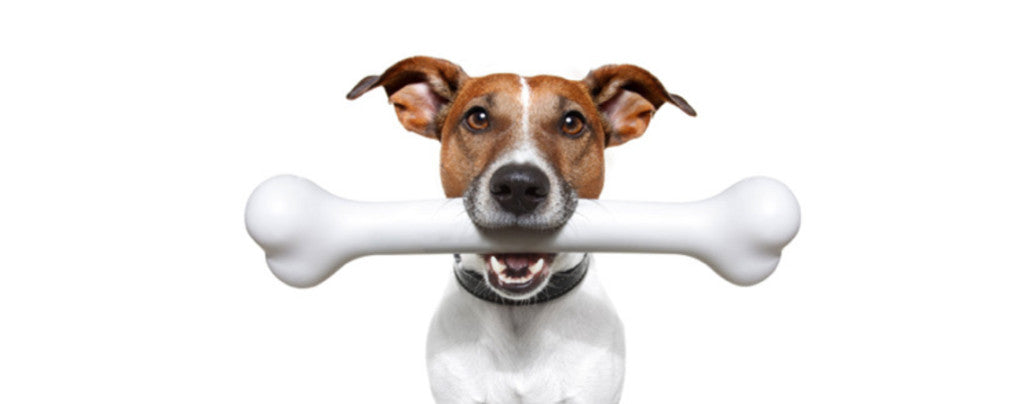 What no one is telling you about feeding your dog bones