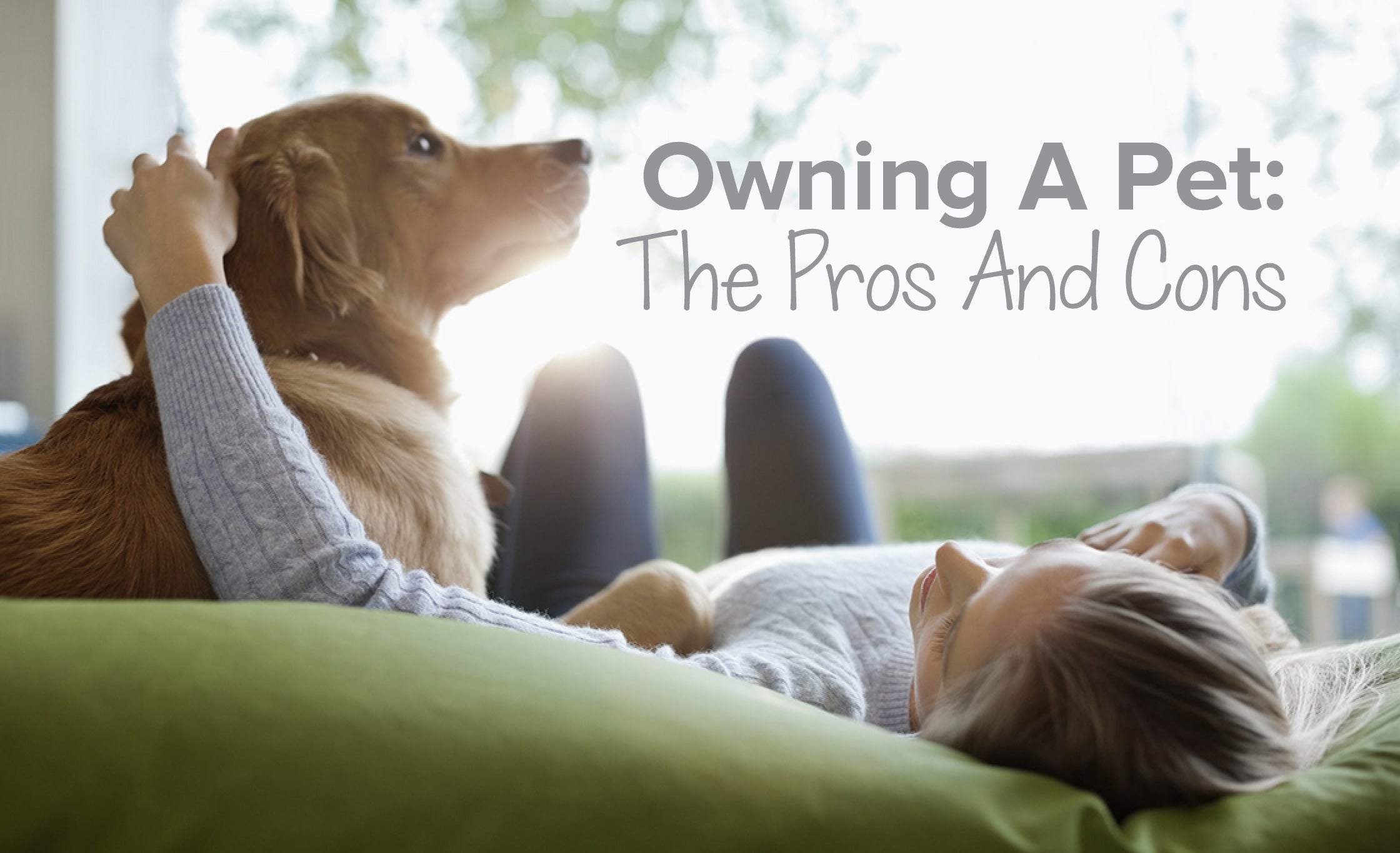 Owning A Pet: The Pros And Cons