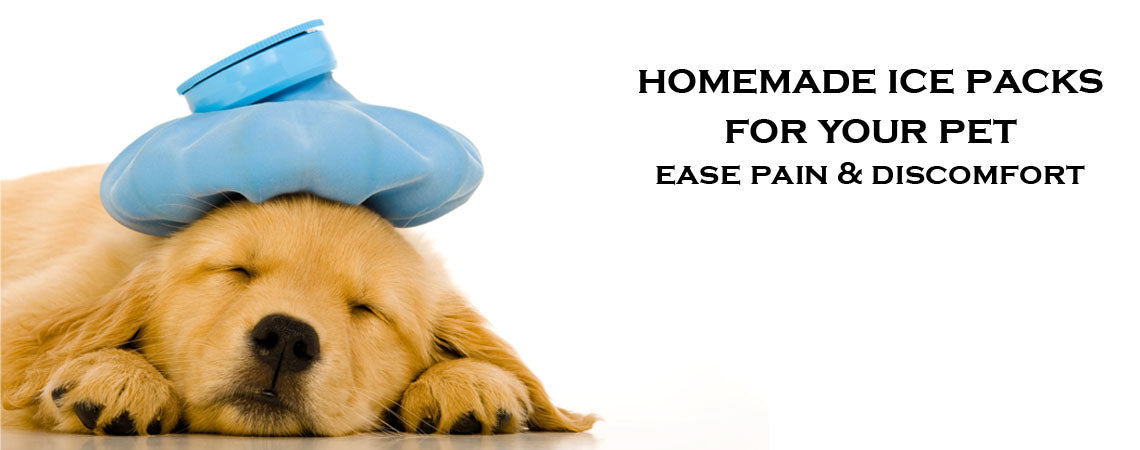 How to make homemade ice pack for your pet to ease pain & discomfort