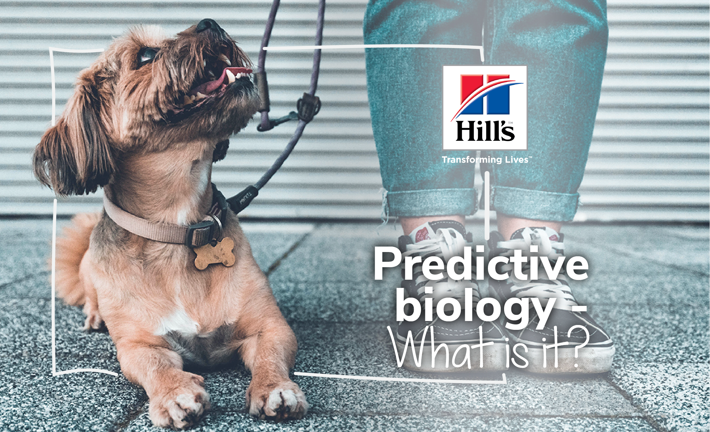 What Is Predictive Biology And How Does It Influence Your Pets Meals?