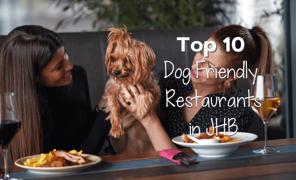 Top 10 Dog Friendly Restaurants in JHB
