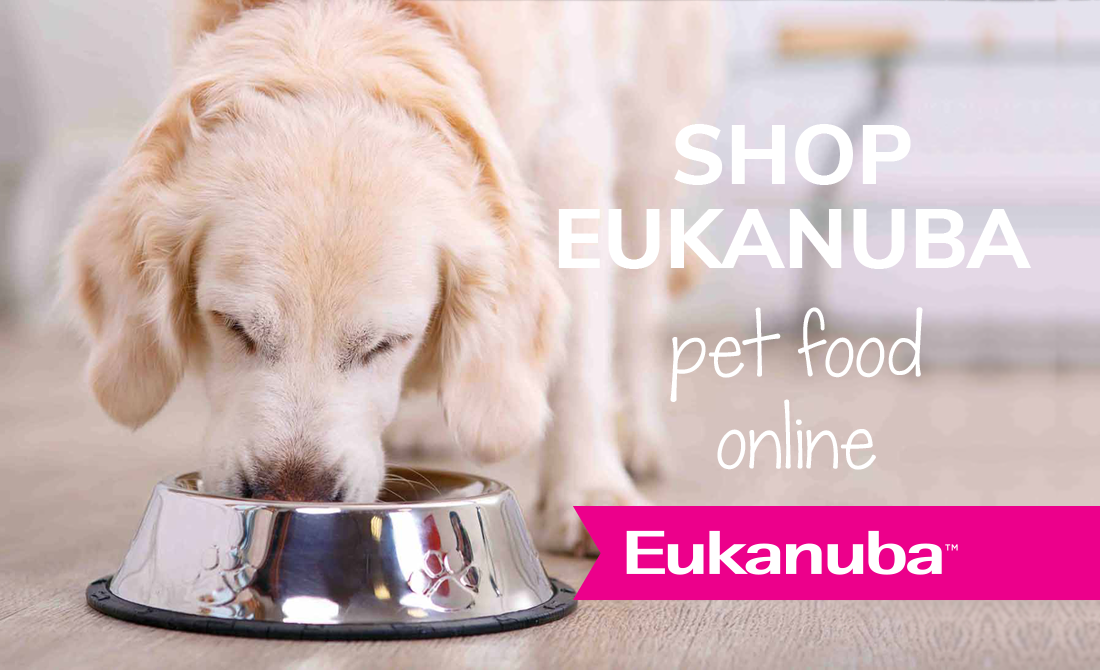 Dog food online store shop