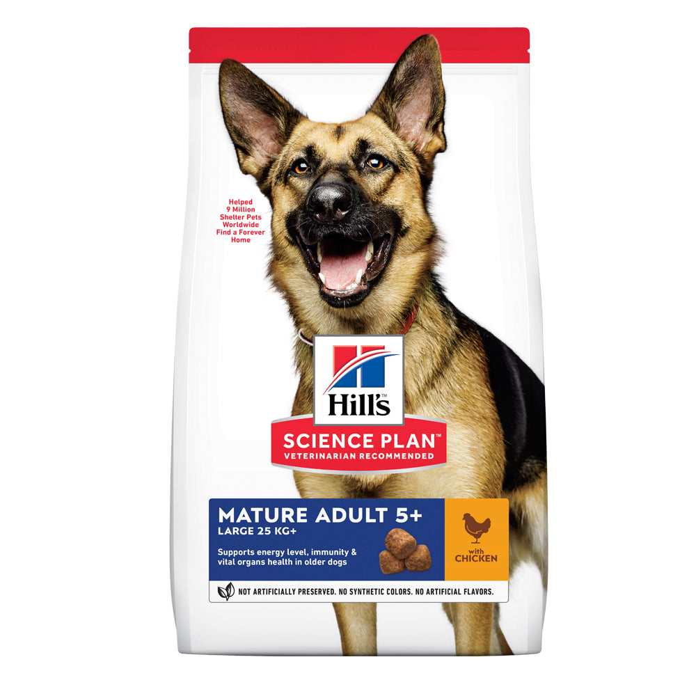 Hills active hot sale dog food