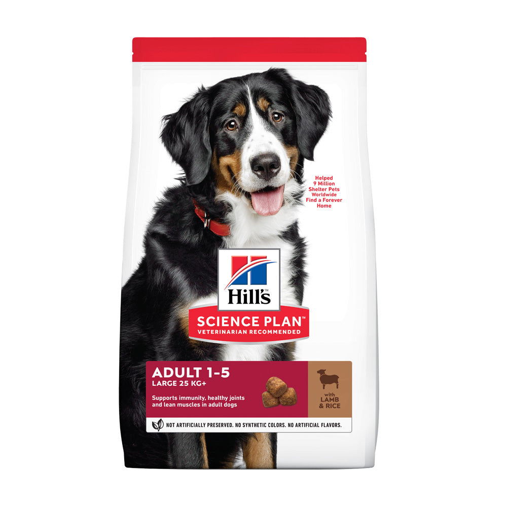 Large breed lamb and rice dog food 2025