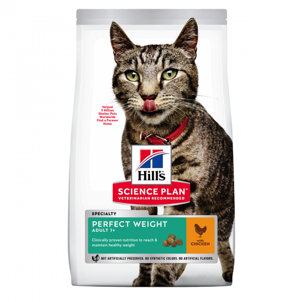 Best food for overweight cat hotsell